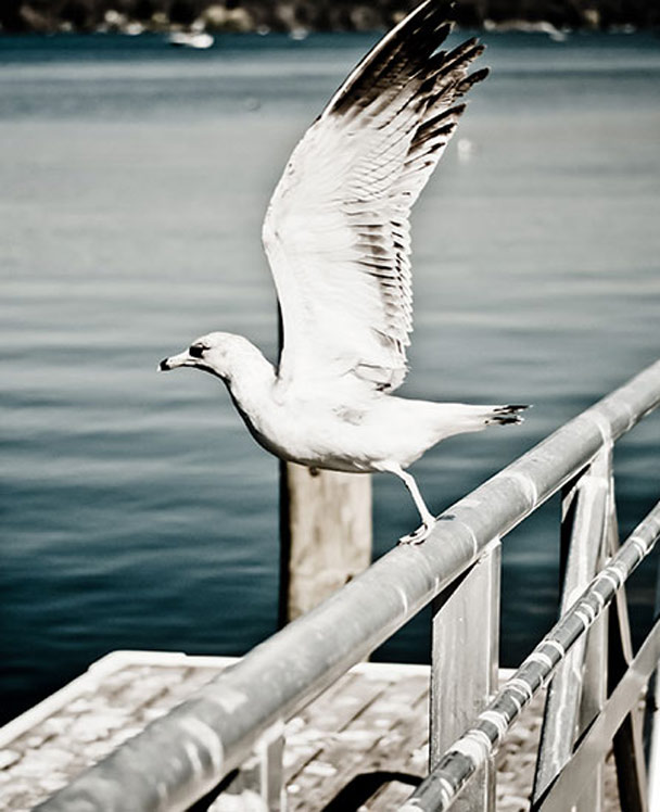 免费cc攻击测试