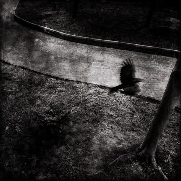 ddos在线攻击平台